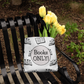 Books Only - Classic Tote Bag